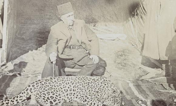 عکس پلنگ شاه