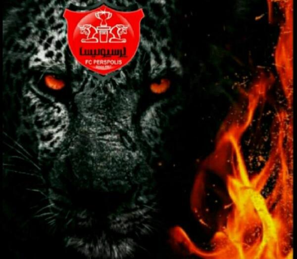 عکس پلنگ پرسپولیس