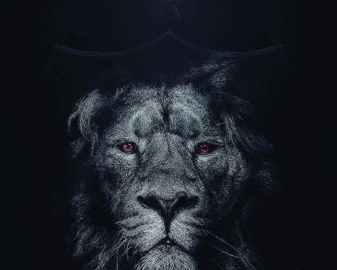 عکس پلنگ پرسپولیس