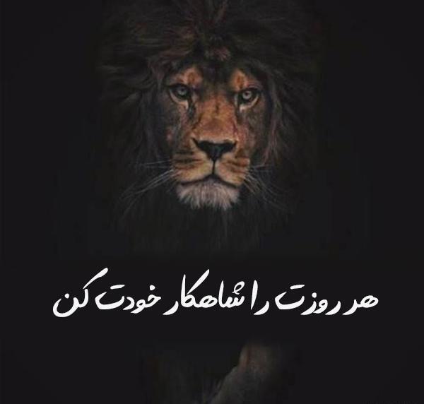 عکس جملات انگیزشی گنگ