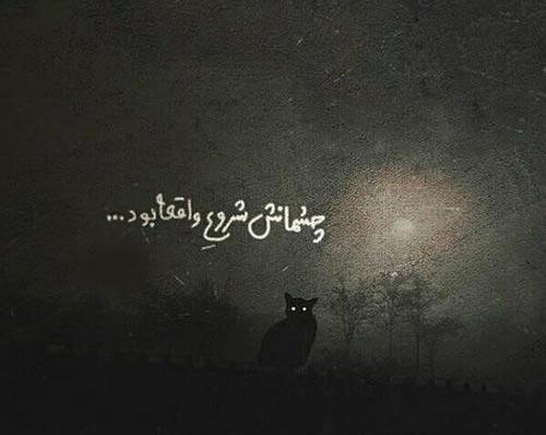 عکس فاز دپ