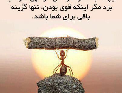 عکس جملات انگیزشی لاغری با دمنوش