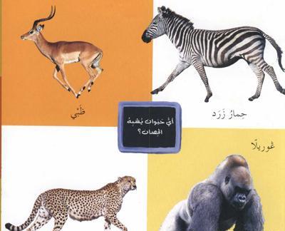 عکس پلنگ عربی