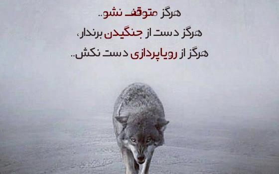عکس جملات انگیزشی جنگیدن