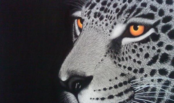 عکس پلنگ برای طراحی