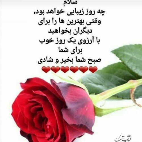 عکس پروفایل بهترین آرزو