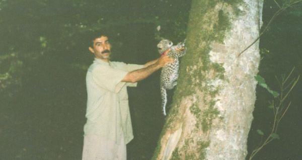 عکس پلنگ ریکا