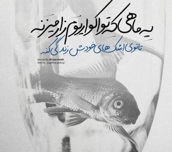 عکس پلنگ ماهی