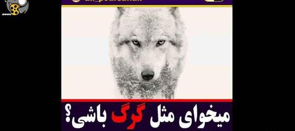 عکس جملات انگیزشی گرگ