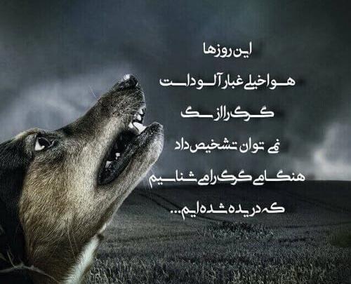 عکس جملات انگیزشی گرگ