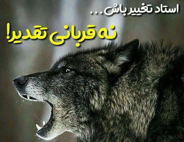 عکس جملات انگیزشی گرگ