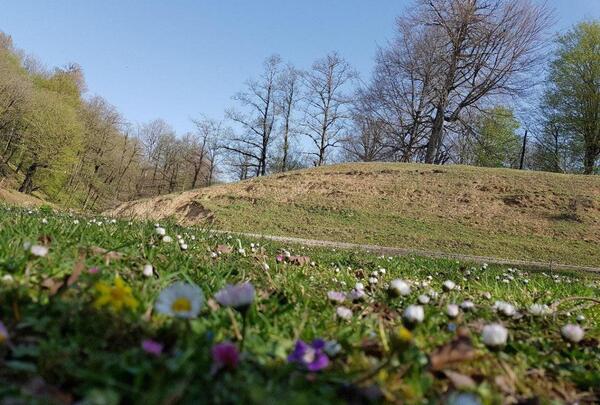 عکس طبیعت واقعی دانلود