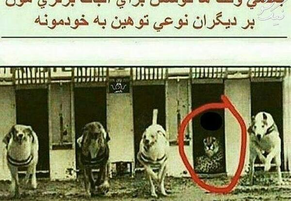 عکس نوشته انگیزشی خنده دار