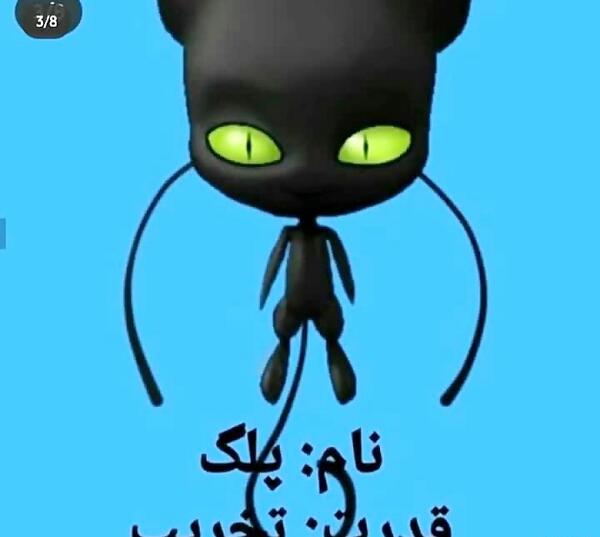 عکس پلگ کوامی گربه سیاه