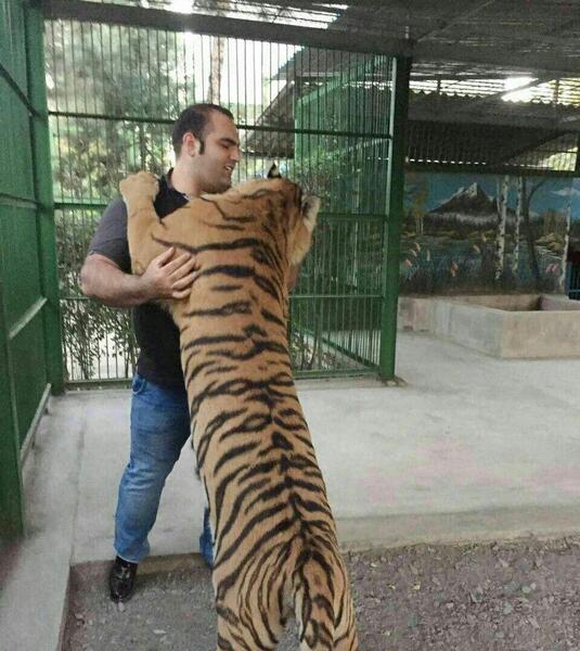 عکس پلنگ چین
