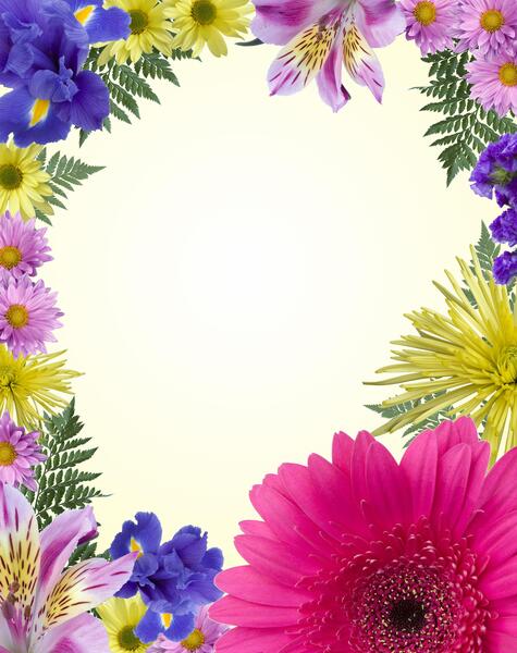 عکس سفید ساده با گل
