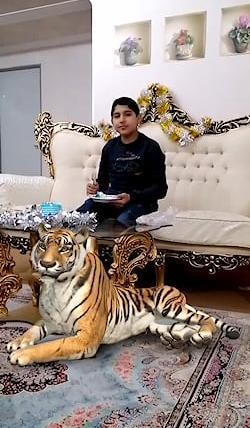 عکس پلنگ خانگی