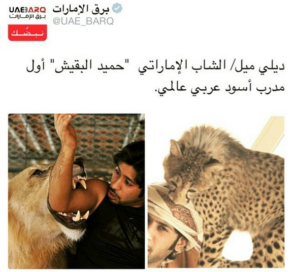 عکس پلنگ خانگی