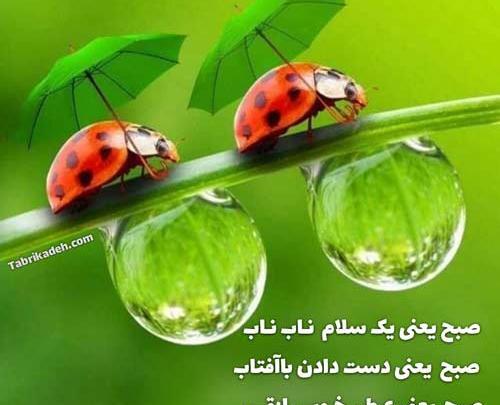 عکس جملات انگیزشی یکشنبه
