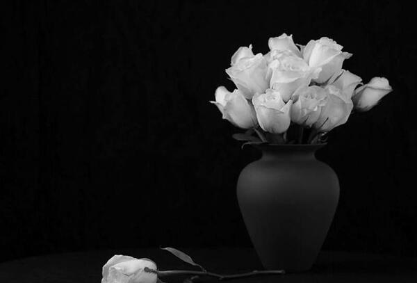 عکس های رنگ سفید ساده