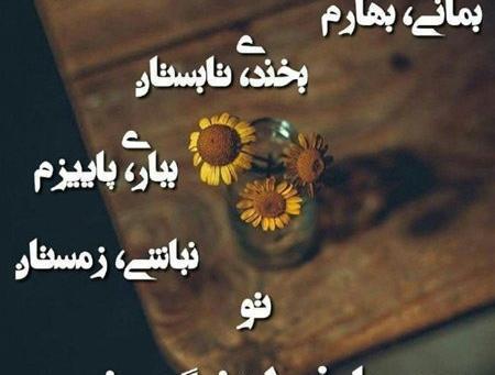 بهترین عکس پروفایل شیک