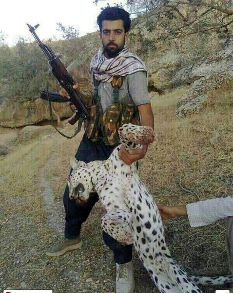 عکس پلنگ شکارچی
