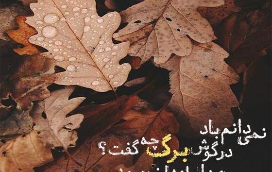 عکس جملات انگیزشی پاییزی