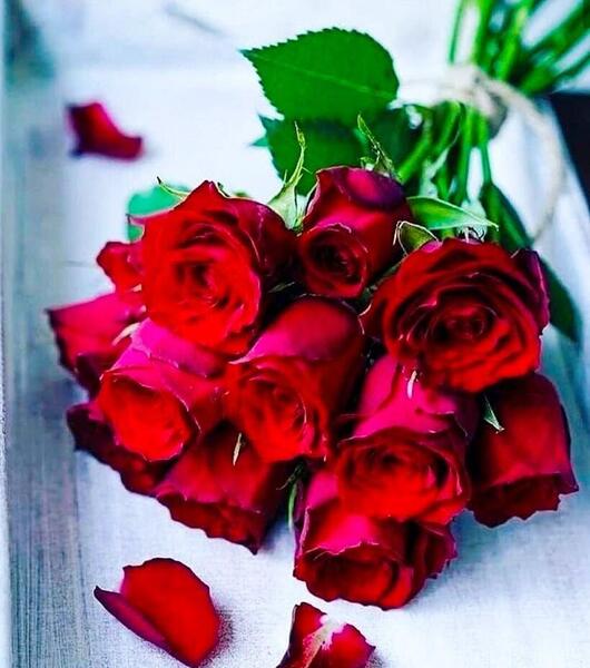 بهترین عکس پروفایل گل زیبا