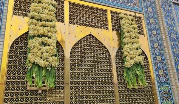 عکس گل نرگس حرم امام رضا