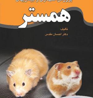 عکس از همستر خاکستری