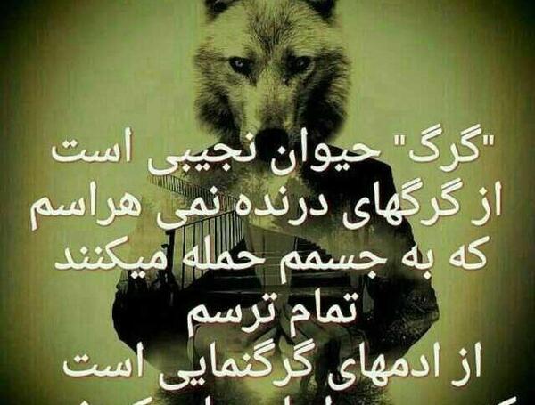 بهترین عکس پروفایل های لاتی