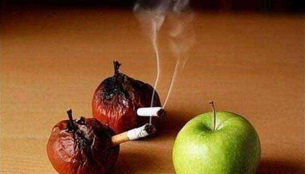 عکس باحال از طبیعت