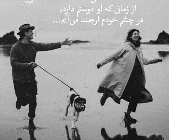 عکس سگ برای پروفایل نوشته
