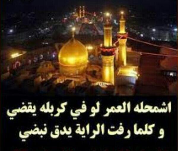 عکس شبتون حسینی