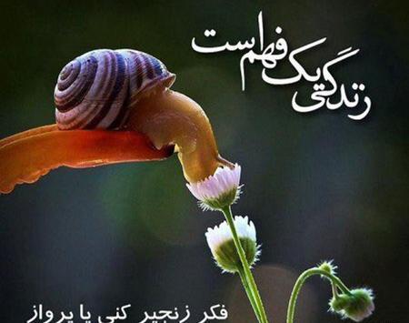 عکس باحال زیبا جدید