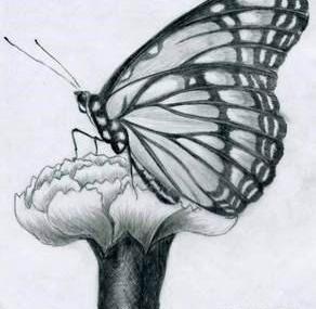 عکس ساده برای طراحی سیاه قلم
