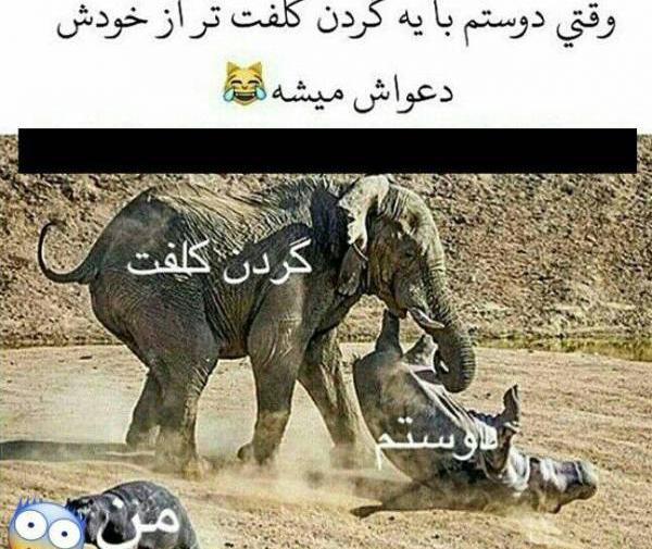 عکس باحال خنده دار