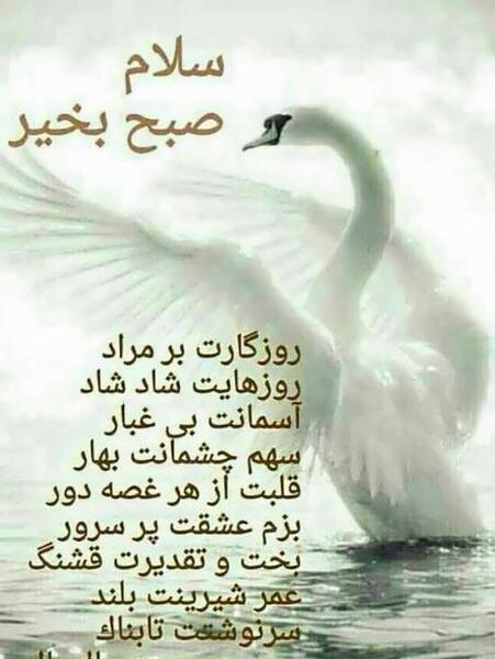 عکس نوشته صبح بخیر خیلی زیبا