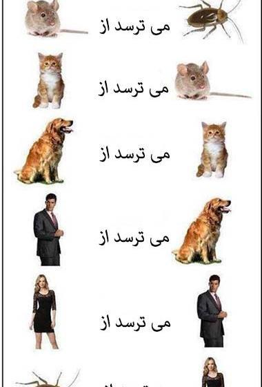عکس باحال