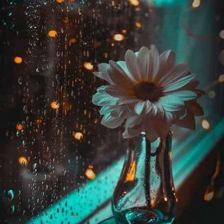 عکس نوشته شبتون مهدوی