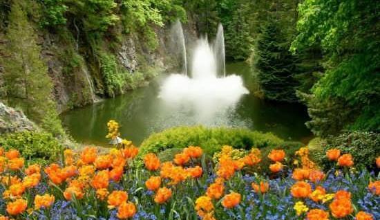 عکس طبیعت های واقعی