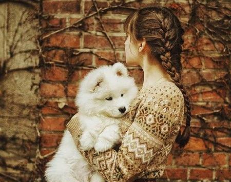 عکس سگ برای پروفایل دخترونه