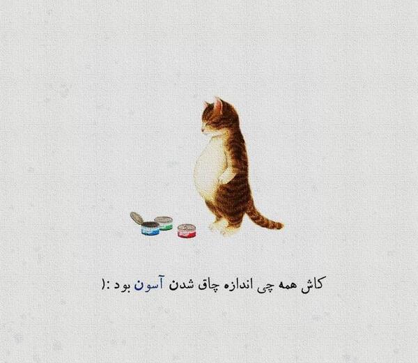 عکس نوشته گربه برای پروفایل