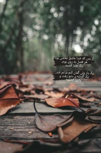 عکس شبتون پراز آرامش