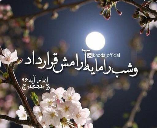 عکس شبتون خدایی