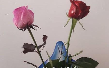 عکس گل تبریک سالگرد ازدواج