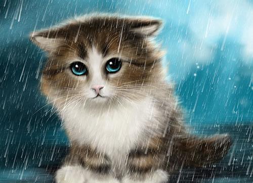 عکس سگ و گربه برای پروفایل