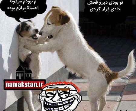 عکس باحال جالب