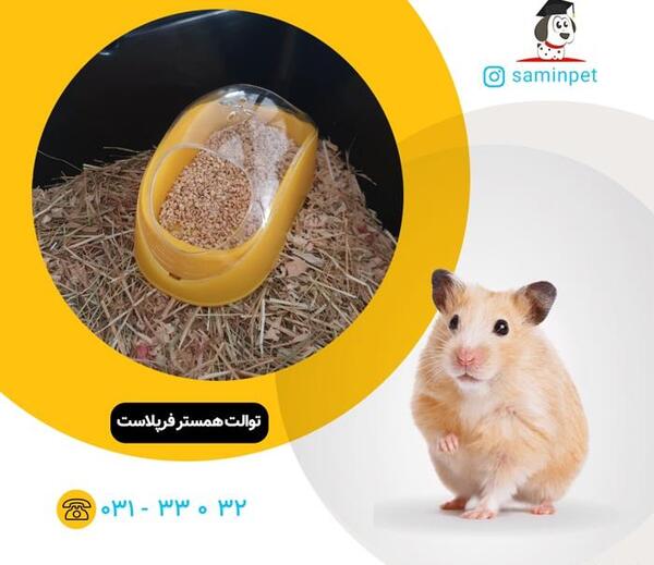 عکس همستر با قلاده
