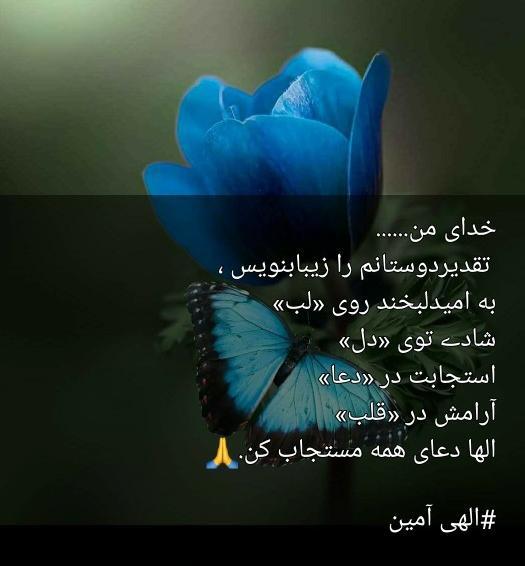 عکس شبتون در پناه خدا